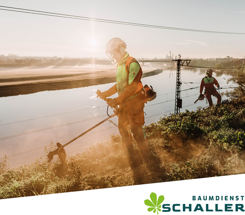 Zwei Arbeiter in Schutzkleidung schneiden bei Sonnenaufgang mit Elektrowerkzeugen das Gras am Flussufer. Nebel steigt vom Wasser auf. Das Logo in der Ecke lautet Baumdienst Schaller.