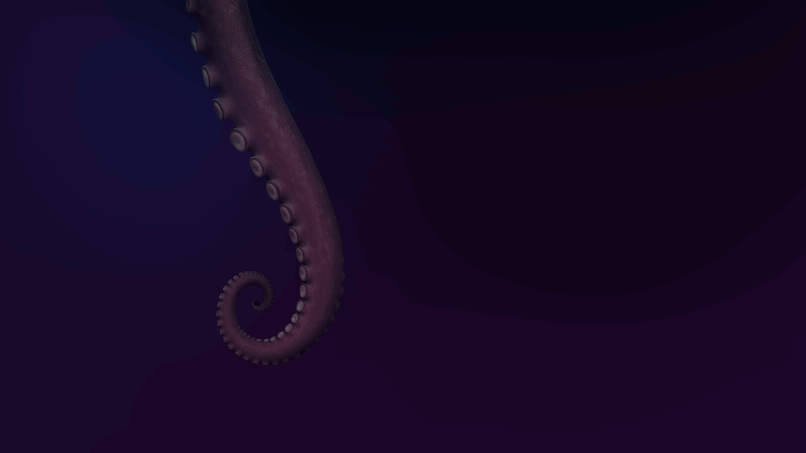 Ein einzelner eingerollter Oktopus-Tentakel mit sichtbaren Saugnäpfen ragt von links vor einem dunklen Hintergrund mit Farbverlauf.